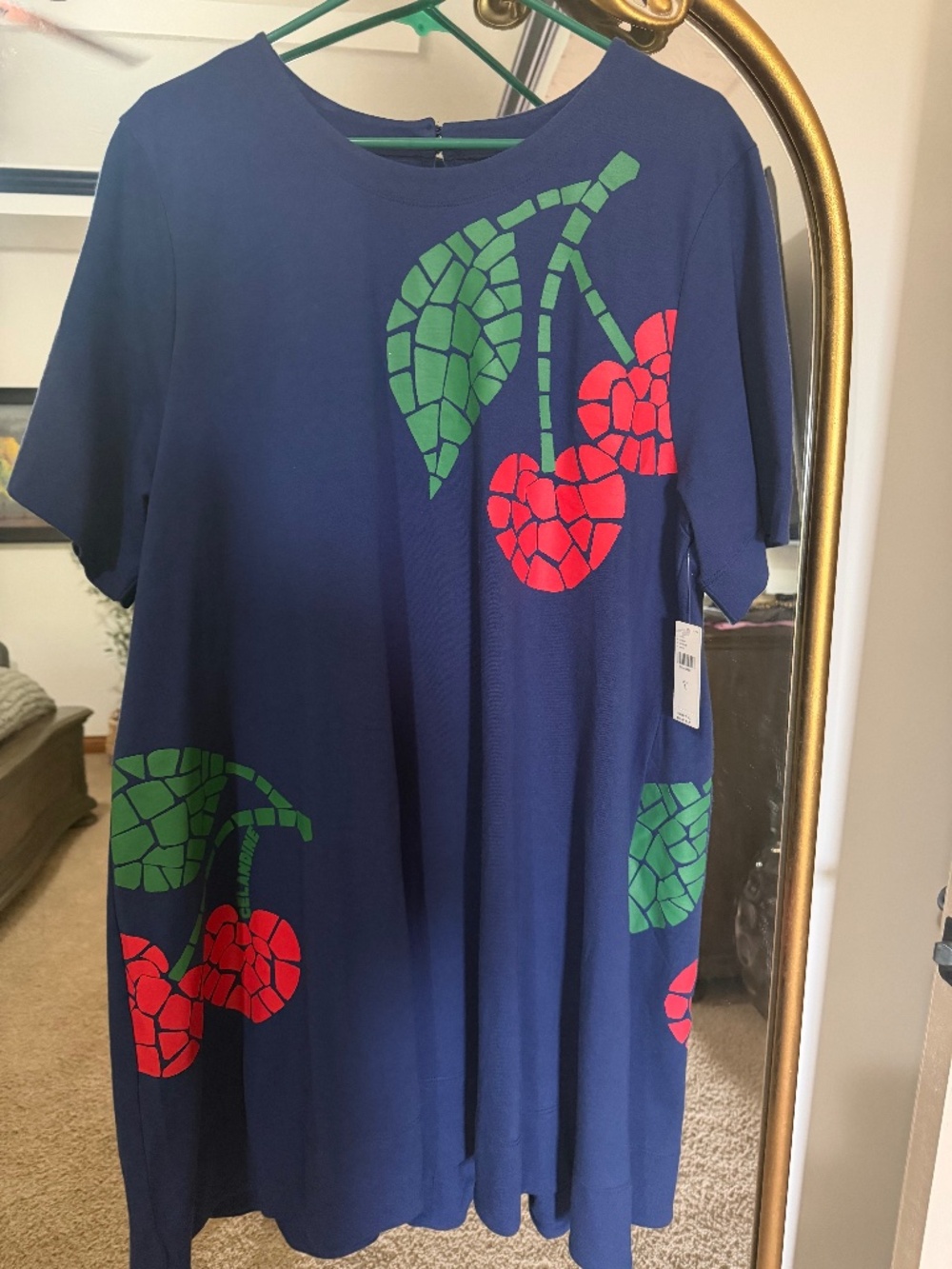Anthropologie swing dress